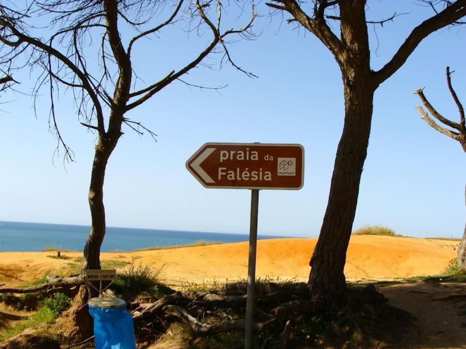 Calm Sunny Near Falesia